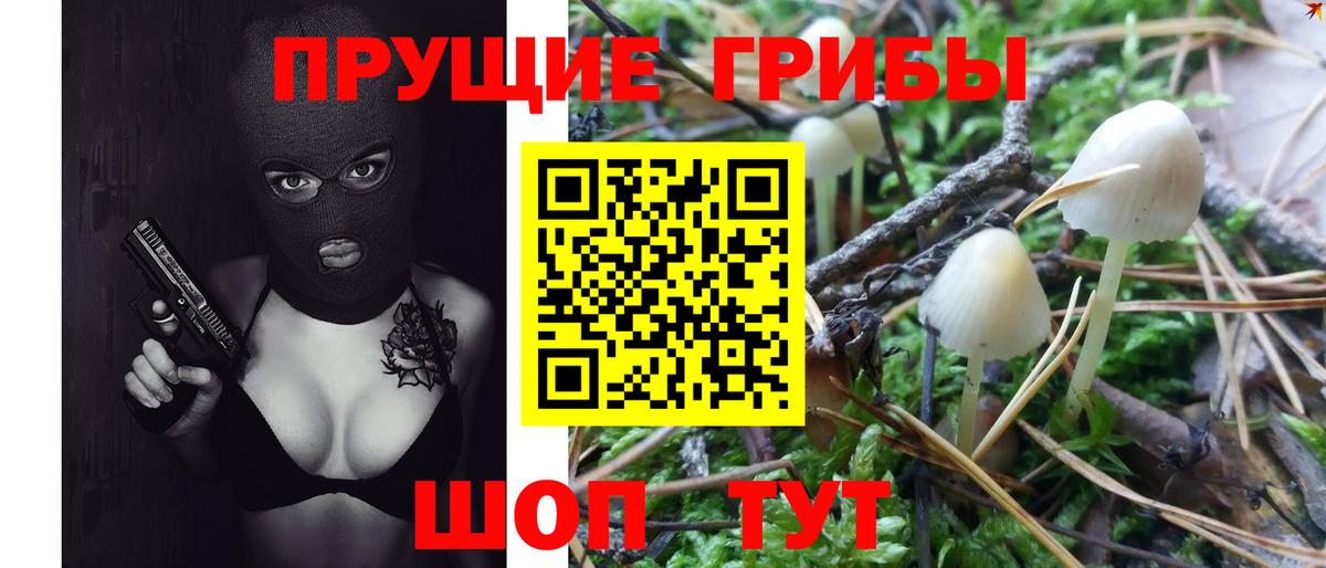A PVP СК   Гашиш  Кокаин  Старая Купавна  Вход с VPN  Конопля  Меф кристаллы  MDMA  Экстази 
